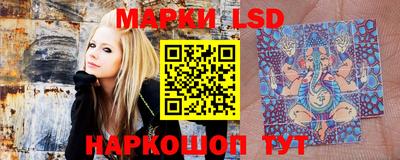 индика Новокубанск