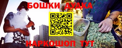 индика Новокубанск